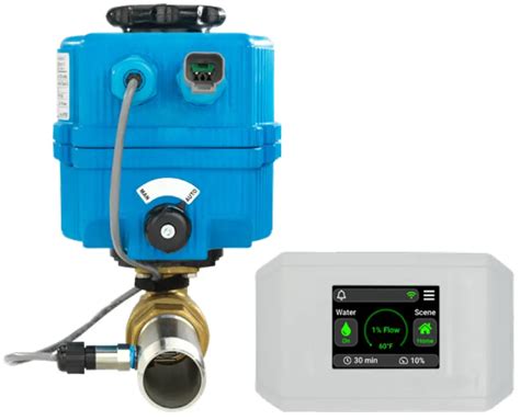 Leak Detection Pump Check Valve