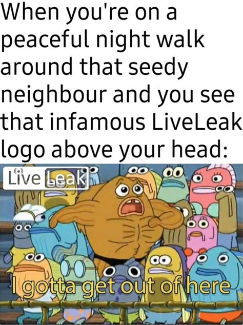 leak live memes