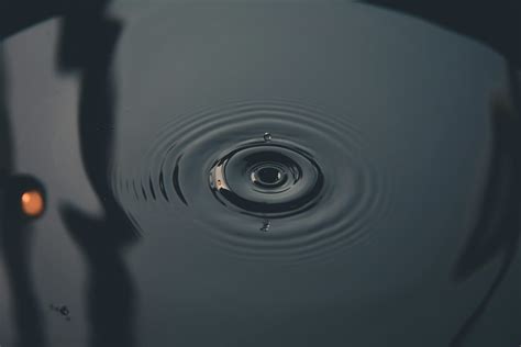 leak lloyd anderssen