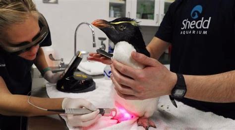 leaked murray reddit