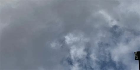 leaked onlyfans elmo