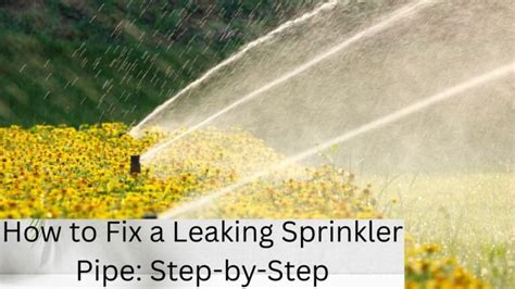 leaking sprinkler pipe