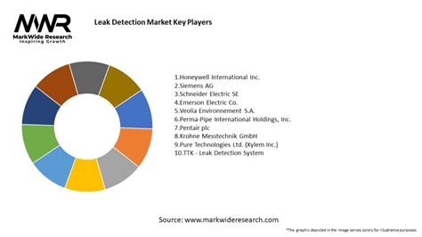 leaks players detection