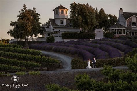 leal vineyards hollister