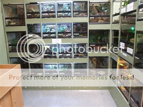 Leaping Lizards Pet Store