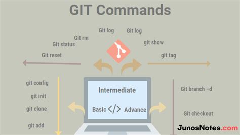 learn basic git commands