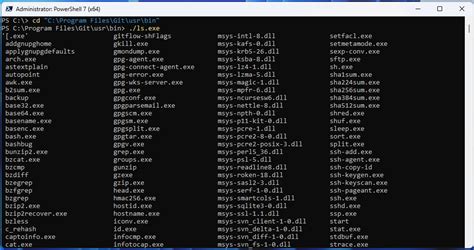 learn git bash commands