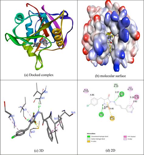 learn molecular docking drug binding