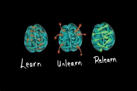 learn unlearn relearn adalah