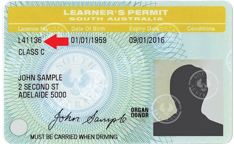 learner's permit id number