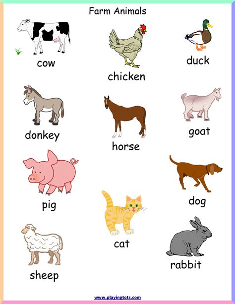 Learning About Animals Printables