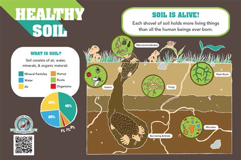 learning about soil for kids
