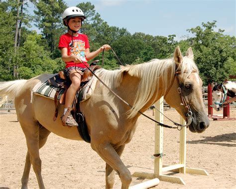 learning how to ride a horse