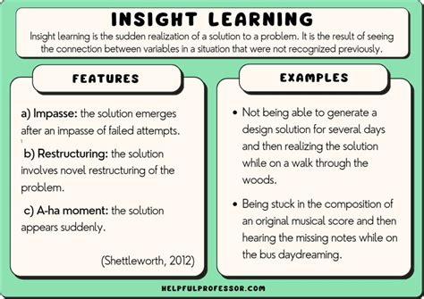 learning insight examples in real life