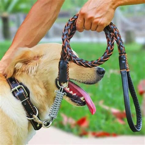 leash and collar dog service