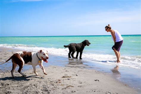 leash free dog beaches near me