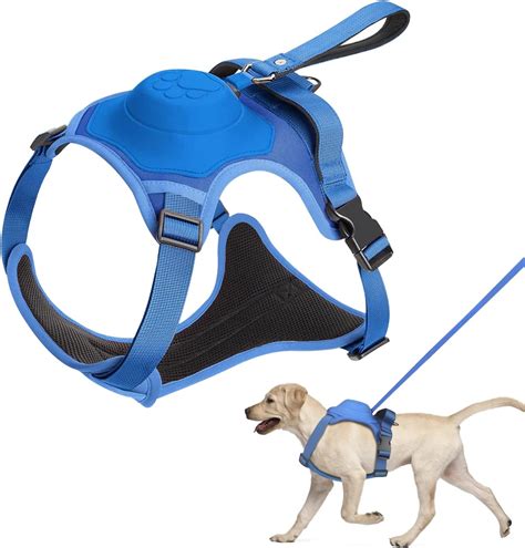 Leash Harnesses And Leashes