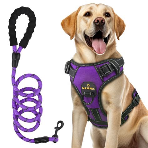 Leash With Harness