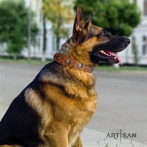 Leather Collars For German Shepherds