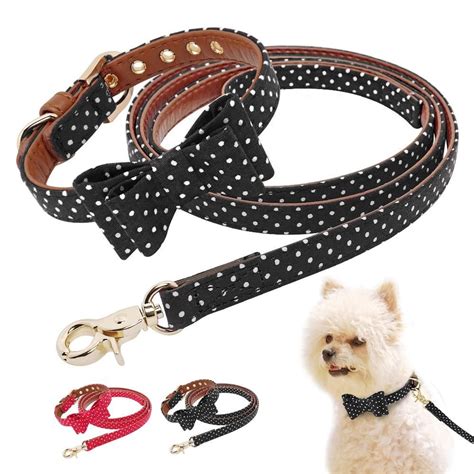 leather dog collar and leash combo