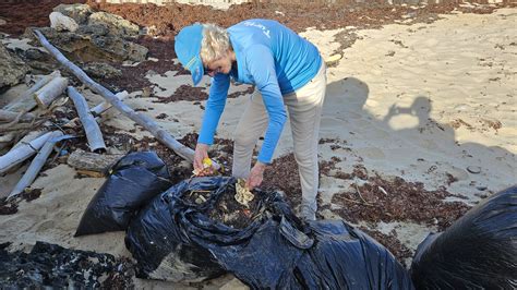 leatherback turtle bite