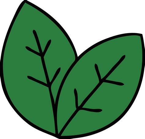 Leaves Cartoon Drawing