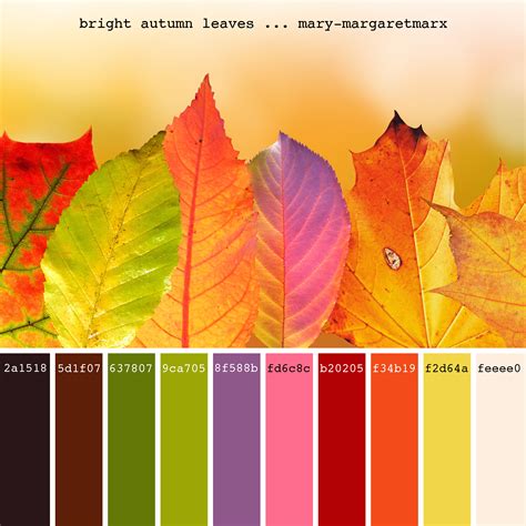 Leaves Color Code