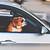 leaving dog in car texas
