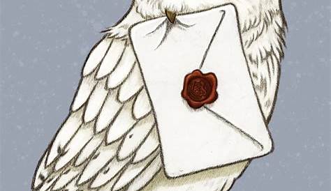 Lechuza Blanca Harry Potter Dibujo Hedwig, La De Jeta Creaciones