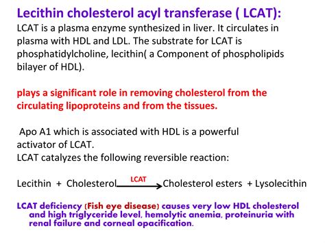 Lecithin Deficiency Causes