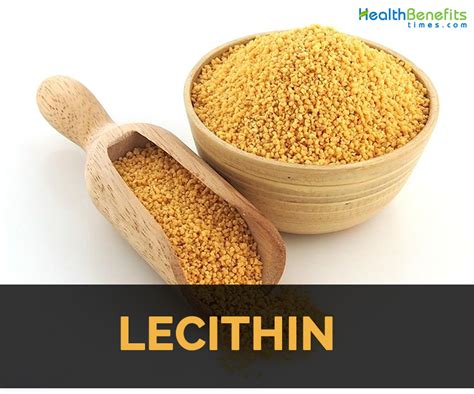 Lecithin Definition
