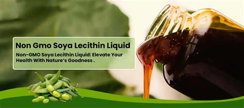 Lecithin Liquid Australia
