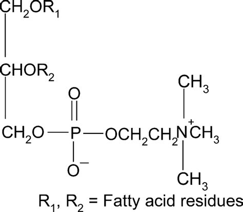 Lecithin Molecular Structure