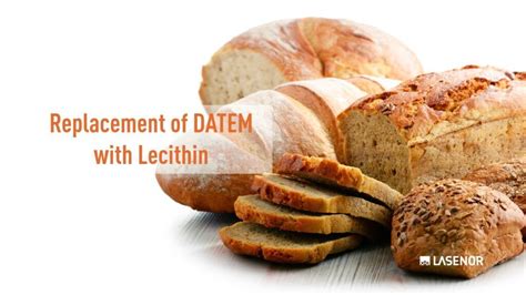 Lecithin Replacement In Recipes