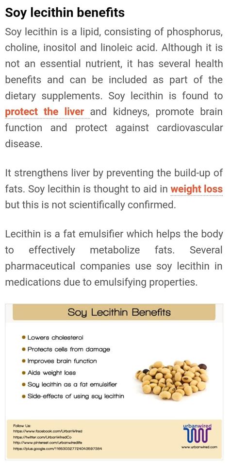 Lecithin Side Effects Thyroid