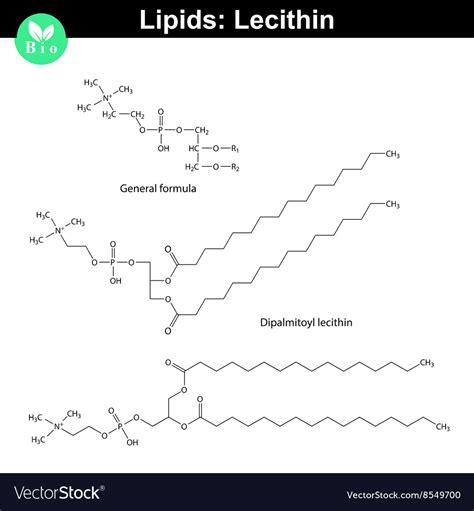 Lecithin Structure And Formula