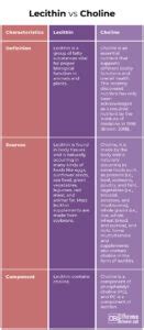 Lecithin Vs Cdp Choline