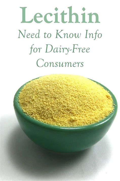 Lecithin Where Does It Come From