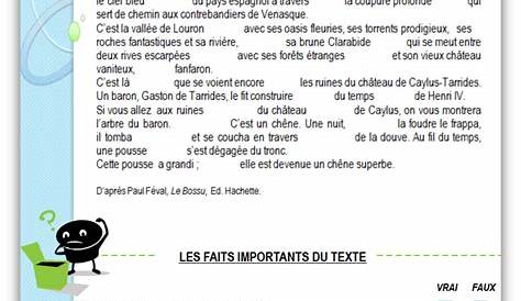 Textes De Lecture Questions De Compréhension Cm2 Pdf - Exemple De Texte