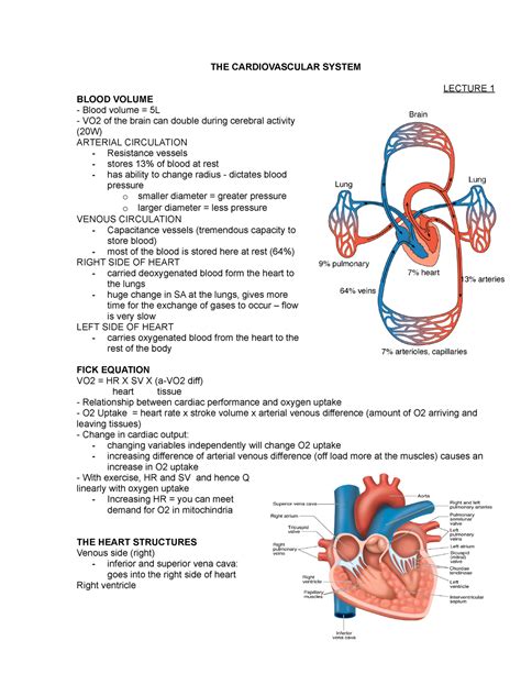lecture notes on cardiovascular system pdf
