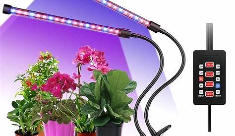 Top 10 UV Lampe Pflanzen LED Pflanzenlampen Manevrit