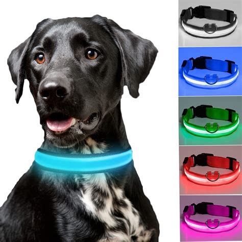 Led Dog Collars Bright