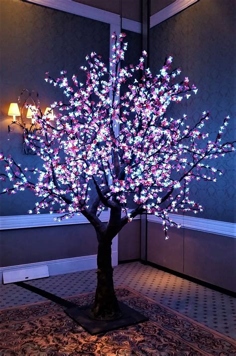 Awasome Led Lights In Trees 2023
