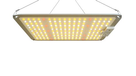 led panel grow light