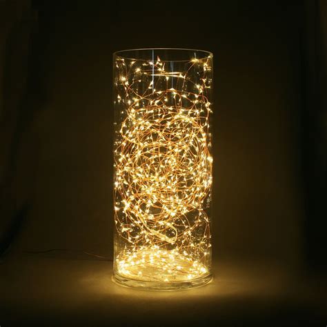 Led String Lights In A Vase
