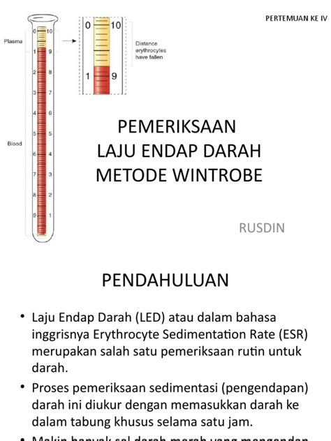 led wintrobe
