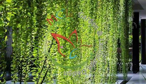 The Lush Lee Kuan Yew Plant on the Fence Stock Image - Image of foliage