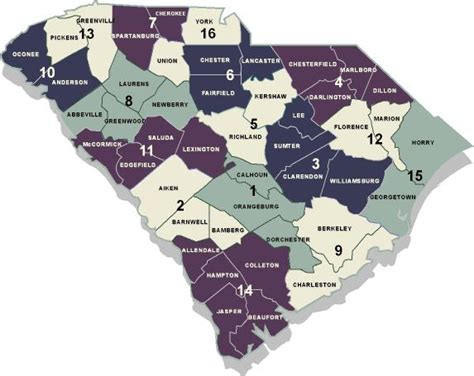 lee county sc judicial circuit