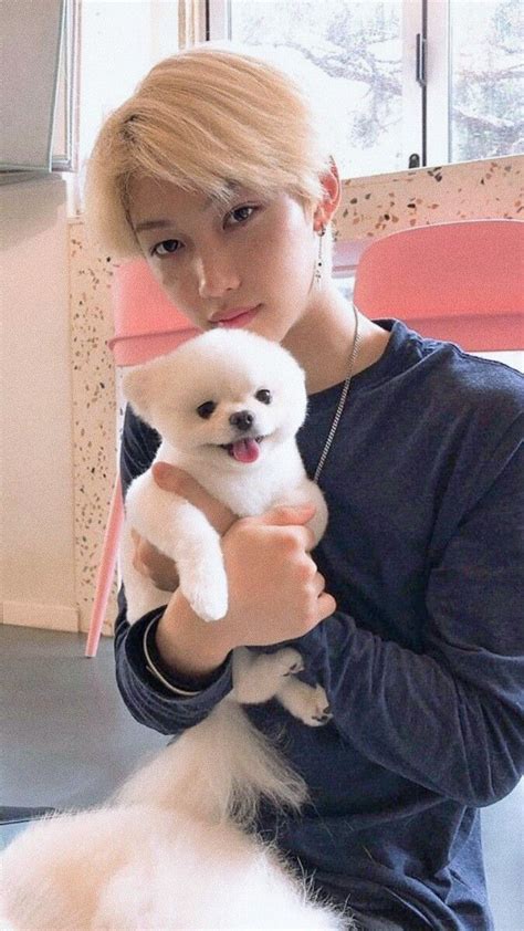 Lee Felix Boyfriend Material