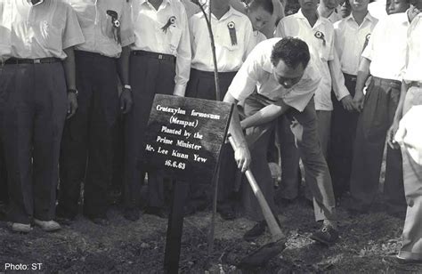 lee kuan yew tree planting 1963